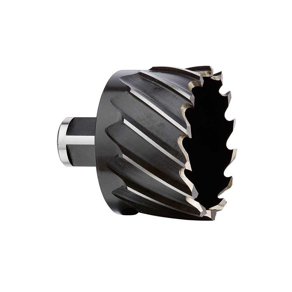 HomeTool Haven: Expert Picks for Every Household