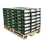 HomeTool Haven: Expert Picks for Every Household