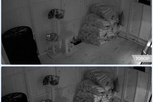 HomeTool Haven: Expert Picks for Every Household