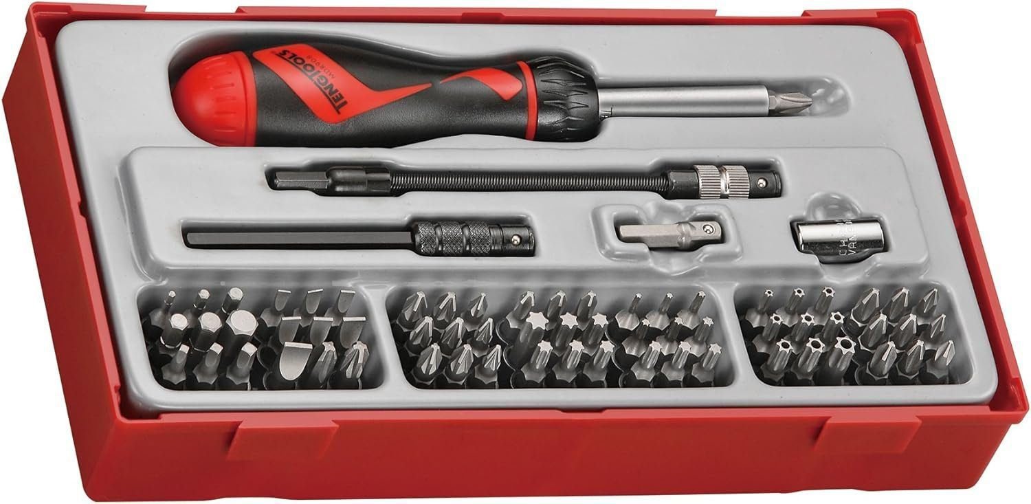 Teng Tools 74 Piece 1/4 Inch Drive Ratcheting Bits Driver, Extension  Adaptor Set - TTMD74, Silver