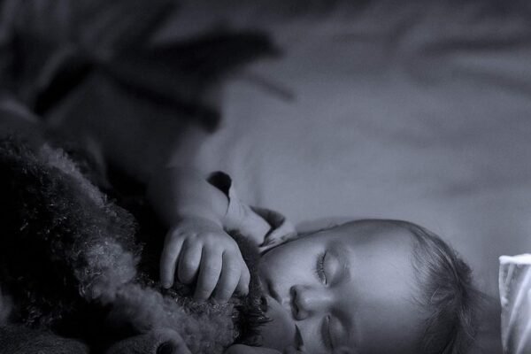 HomeTool Haven: Expert Picks for Every Household