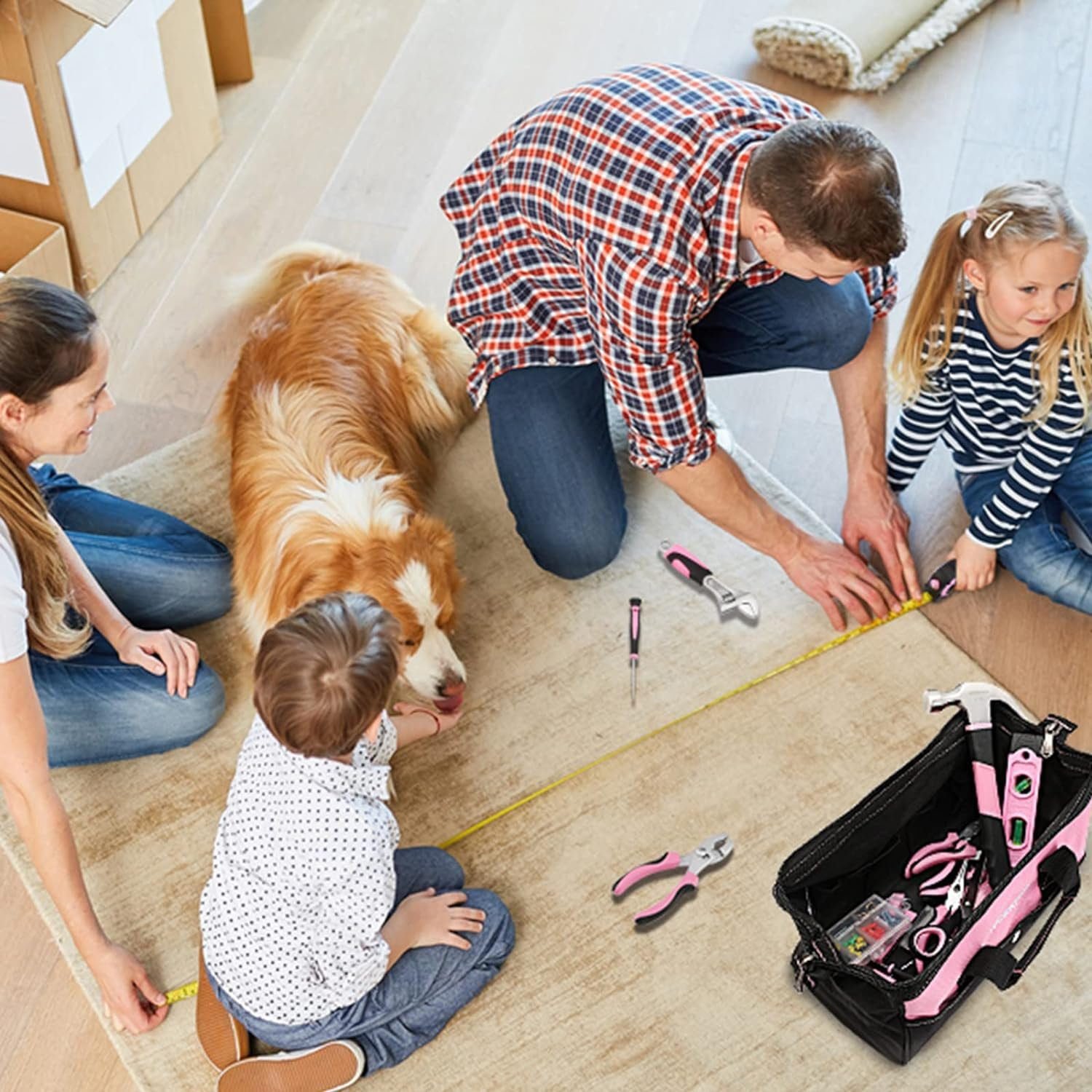 HomeTool Haven: Expert Picks for Every Household